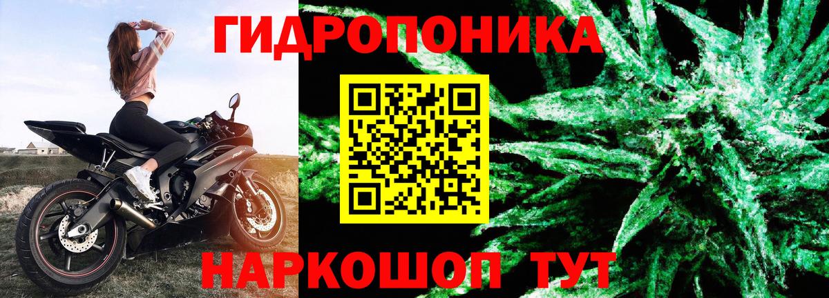 Каннабис тримм  Каннабис планчик  Вход с VPN  Дедовск 